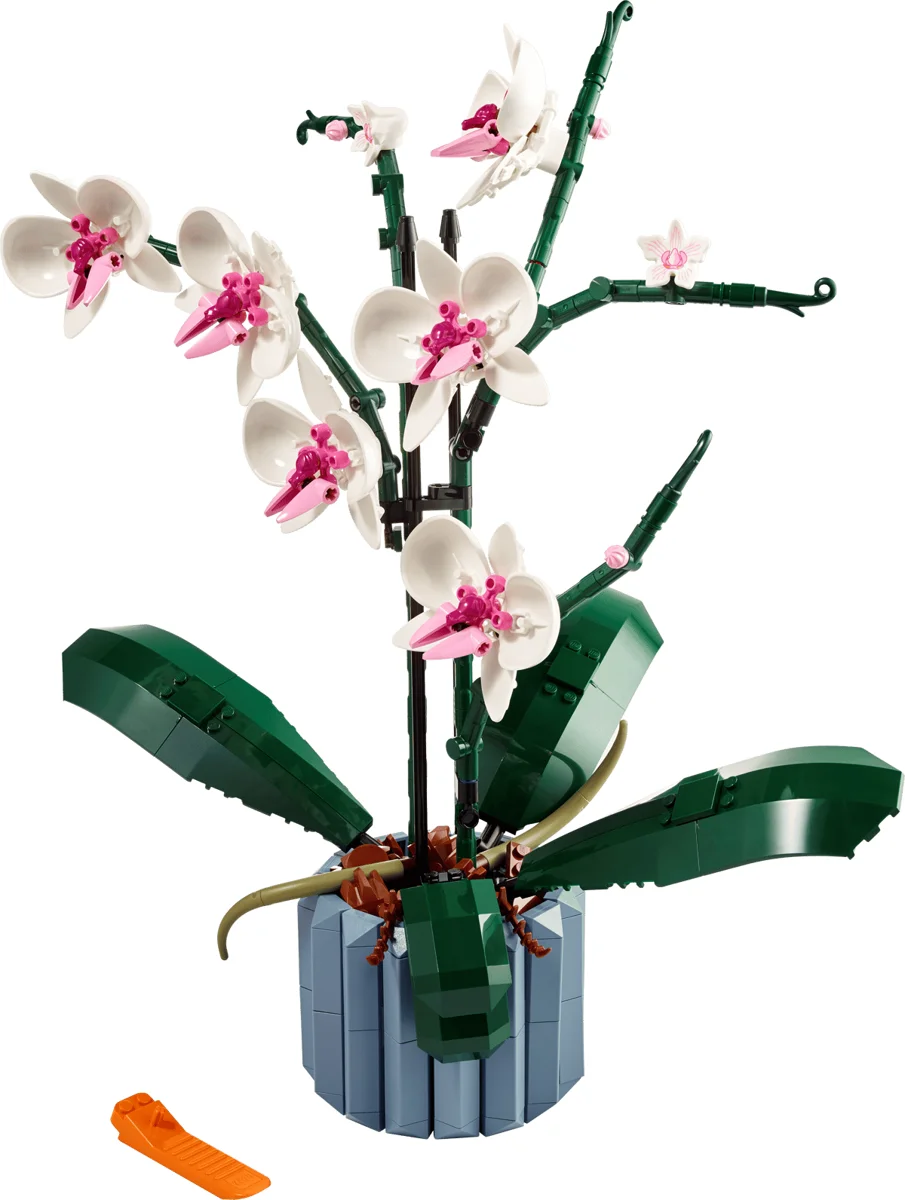 LEGO Orchidée 10311 (visuel officiel)