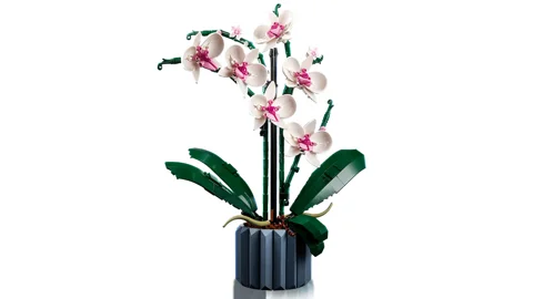 L’orchidée — Vue produit 5