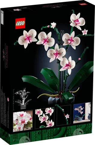 L’orchidée — Vue produit 8