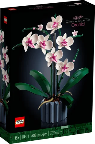L’orchidée — Vue produit 2