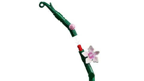 L’orchidée — Vue produit 7