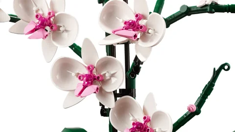 L’orchidée — Vue produit 6