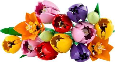 Le bouquet de tulipes — Vue produit 4