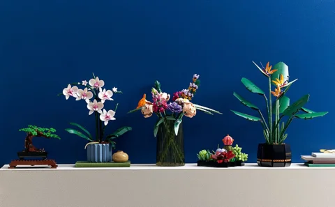 L’orchidée — Vue produit 4