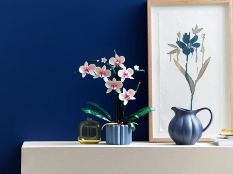 L’orchidée — Vue produit 3