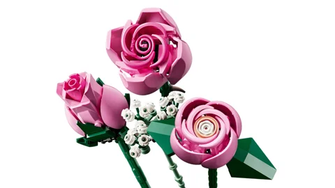 Bouquet de roses roses — Vue produit 7